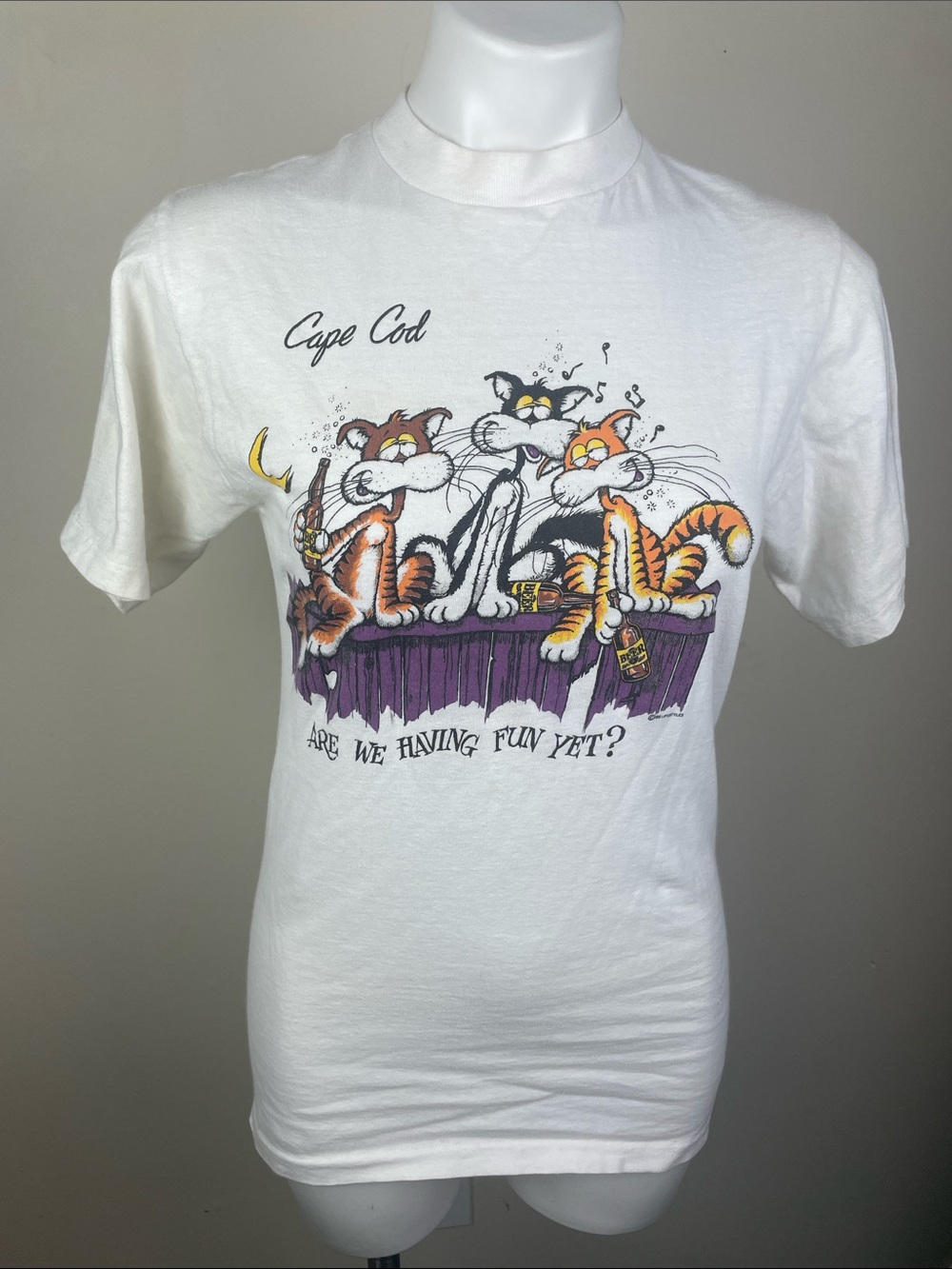 Vintage Badger Sportswear Cape Cod Drunk Stray Cat Fence T-Shirt